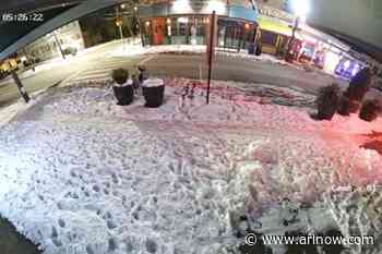 NEW: Freddie’s Beach Bar also damaged by Crystal City arsonist