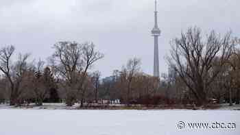 Man dead after falling through ice off Toronto Islands: police