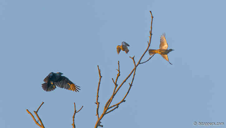 Why Do Photographers Often Overlook the Synergy of Composition and Exposure?