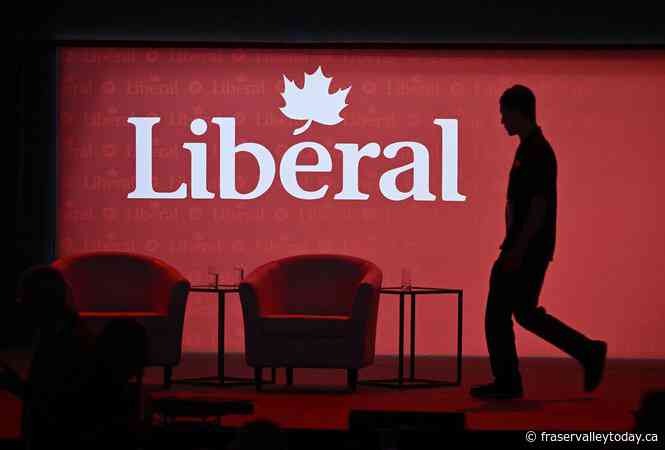 Liberal leadership race: A look at the potential candidates