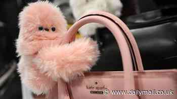 The weird and wonderful CES tech gadgets coming to a store near you