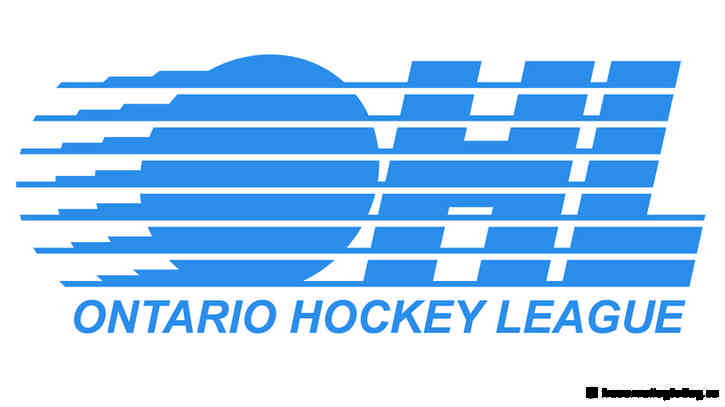 OHL hands Flint Firebirds coach Paul Flache a five-game suspension