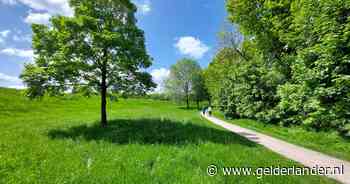 Vier vrouwen onzedelijk betast door voorbijrijdende scooterrijder: ‘Hij liet niet meteen los’
