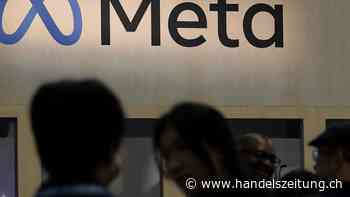 Meta beendet firmeninterne Diversitätsprogramme