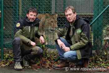 Natuurhulpcentrum gaat voort met twee directeurs: “Ik wil hier geen Trumpiaanse toestanden”