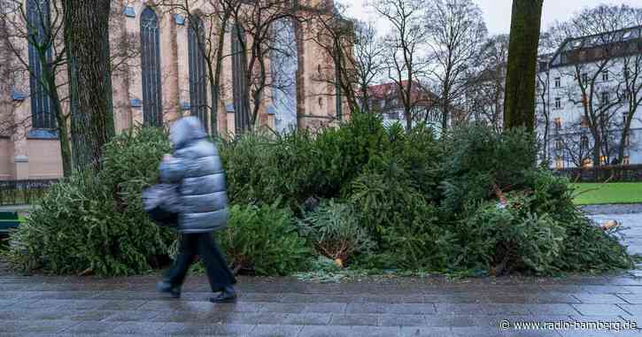 Wenn der Christbaum weg muss: Sammelstelle oder Wertstoffhof