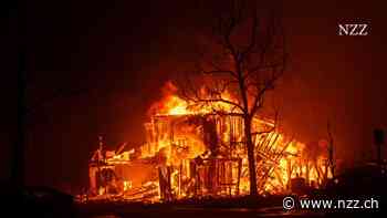 KOMMENTAR - In Los Angeles brennt der alte American Dream ab – daran ist auch der Versicherungssozialismus schuld