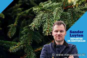 “Gentenaars zijn Stroppendragers? Vergeet dat. Vanaf nu zijn we Kerstboomfretters”