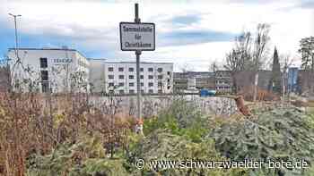 Sammelstellen im Überblick: Hier können im Calwer Stadtgebiet Weihnachtsbäume abgelegt werden