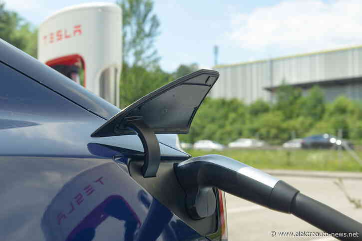 Diese 7 E-Autos waren 2024 in Deutschland am beliebtesten