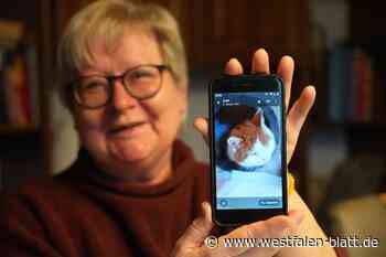 Happy End in Rahden: Kater Finni nach einem Jahr zurück zu Hause