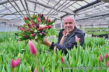 Lust auf frische Tulpen? Wir verlosen zehn bunte Sträuße