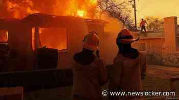 NU+ | Santa Ana-wind en droogte fatale combinatie voor branden Los Angeles