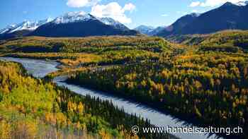 Als Amerika den Russen Alaska für einen Spottpreis abkaufte