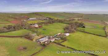 Northumberland farm up for auction with starting bid of £1.5m