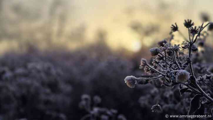 Oppassen voor wie de weg opgaat: mist en gladheid