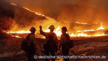 Erderwärmung lag 2024 im Schnitt bei 1,6 Grad