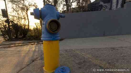 Bosbranden in Los Angeles: hoe brandkranen ‘volledig droogvielen’ te midden van woedende vlammen | Wereldnieuws