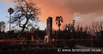 UK-born child star dies in Los Angeles fires