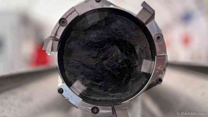 Scientists just excavated an unprecedented specimen from Antarctica