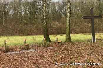 Vandalismus in Höxter: Komplette Bank-Sitzflächen abmontiert