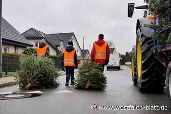 Diebe ziehen Geldscheine von Bäumen in Herford