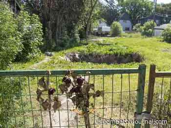 Redd Alert member who fatally shot Edmonton man sentenced to 13 years in prison