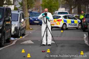Horror as woman suffers brain injury after being hit with gardening tool in street