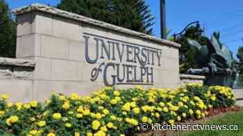 Gastroenteritis at the University of Guelph: 190 students reportedly sick