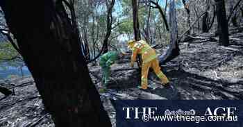 Scarred but still standing, Grampians community counts cost of two fires in a year