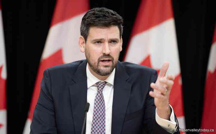 Liberal officials say it’s ‘essential’ their next party leader is bilingual