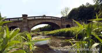 Two North East sites big part of National Trust's 'ambitious' plans for next decade