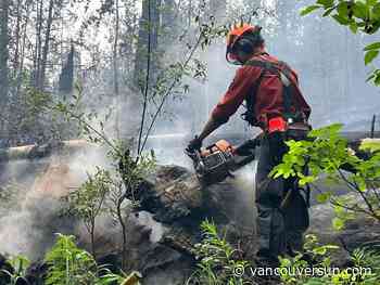 Experts urge B.C. to rethink wildfire response as L.A. battles unprecedented fires