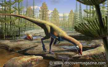 Newly Identified Dinosaur was the Size of a Chicken and May be Oldest in North America