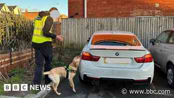 Dog helps sniff out illegal vapes and tobacco
