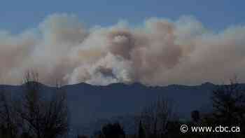 Alberta sending 40 wildland firefighters early next week to help with L.A. wildfires