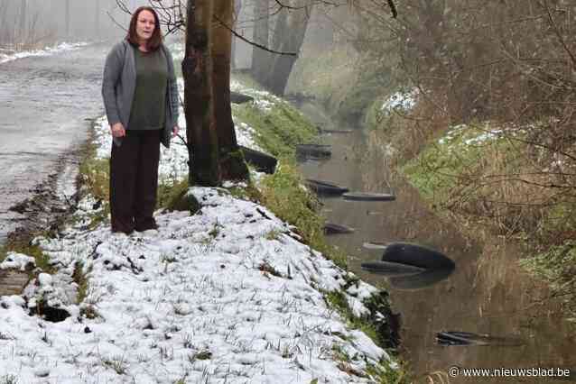 Sluikstorters viseren Tangebeek en dumpen over halve kilometer autobanden: “Dit is zo gortig, dat is doelbewust de natuur vernietigen”