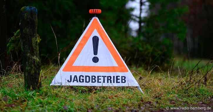Hund bei Jagd durch illegale Falle verletzt