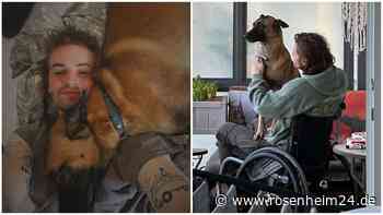 „Mehr als eine Assistenzhündin“: So geht es dem Wasserburger Daniel Erdösi (25) mit seiner Leni