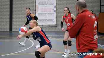 Onervaren Vollingo leert vooral, ondanks verliezen: ‘Meiden komen net kijken’