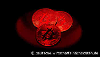 Bitcoin-Schatz im Müll gelandet? Richter weist Klage auf "Schürf-Erlaubnis" ab