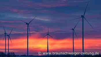 Vehemente Kritik im Kreis Gifhorn an Windpark-Plänen