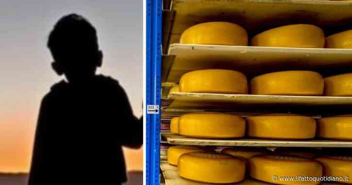 Bambino di 9 anni mangia del formaggio a latte crudo e finisce in ospedale: ritirato il lotto