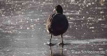 Winterwetter in der kommenden Woche sonnig und oft frostig