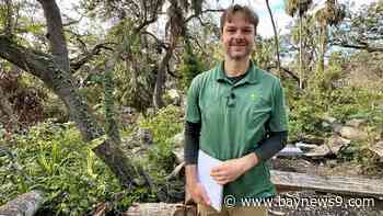 1,000 years of St. Pete exposed on Tocobaga shell mounds