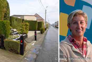 Na de omheining op het voetpad: andere bewoner van Haaltert installeert paaltjes en haag op trottoir voor woning