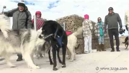 City celebrates Vista Del Norte Dog Park opening