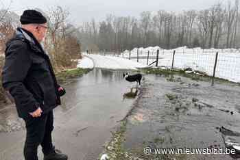 Natuurreservaat De Maten krijgt flinke tik van… natuur en bevers: “Extreem veel water”