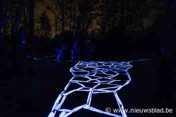 Twee vaste camera’s voor kunstwerk Lichtsporen in Thor Park: “Te weinig sociale controle”