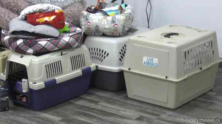 Calgary animal organization heads for LA with donations for pets in need impacted by wildfires